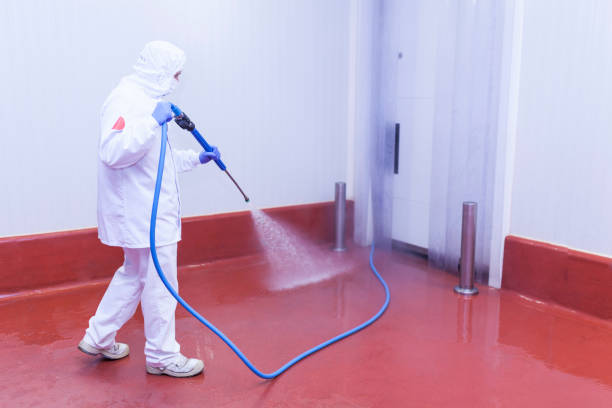 Best Graffiti Removal  in Encinitas, CA
